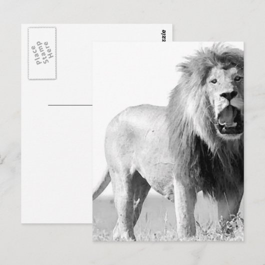 BW Lion Postkarte (Vorne/Hinten)