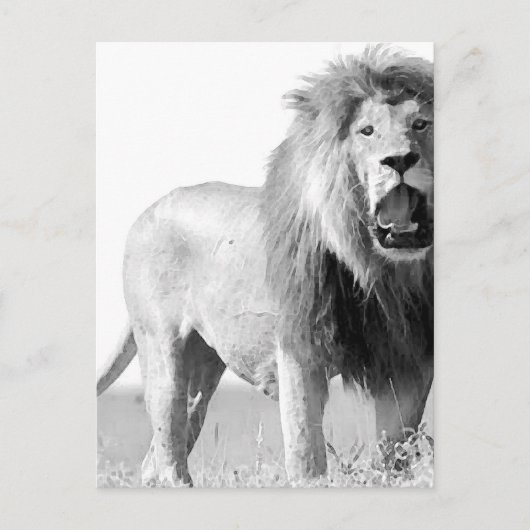 BW Lion Postkarte (Vorderseite)