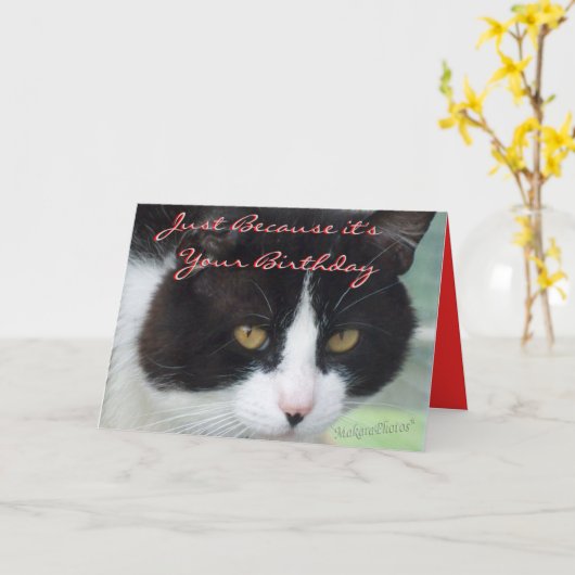 BW&MouseBday anpassen Karte (Gelbe Blume)