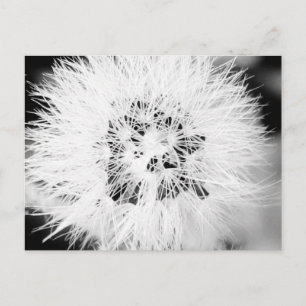 bw. * postkarte