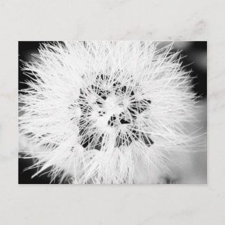 bw. * postkarte
