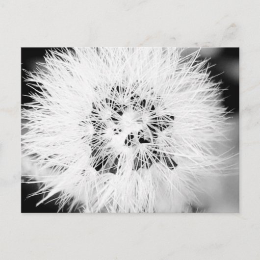bw. * postkarte (Vorderseite)