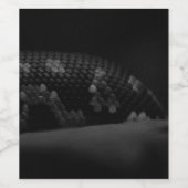 BW-Skala Weinetikett (Einzelnes Label)