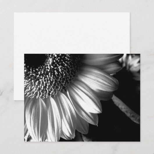 Bw-Sonnenblume 2 Postkarte (Vorne/Hinten)