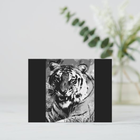 BW Tiger Postkarte (Stehend Vorderseite)