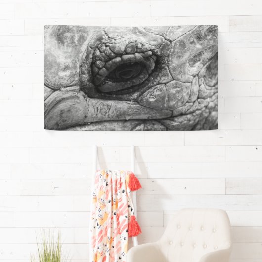 BW Tortoise Banner (Insitu)
