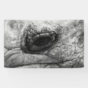 BW Tortoise Banner