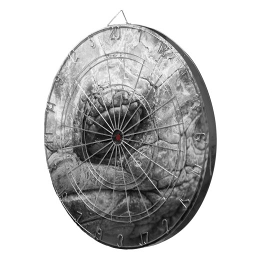 BW Tortoise Dartscheibe (Vorderseite rechts)