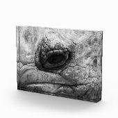 BW Tortoise Fotoblock (Rechts)