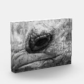 BW Tortoise Fotoblock (Links)