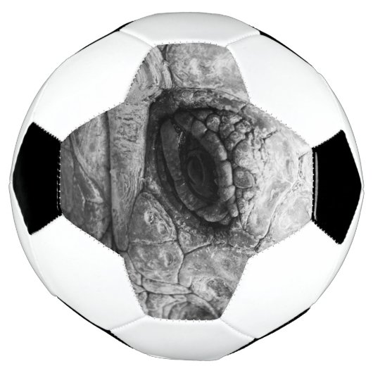 BW Tortoise Fußball (Gedreht)