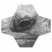 BW Tortoise Fußball (Flach)