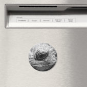 BW Tortoise Magnet (In Situ (Geschirrspüler))