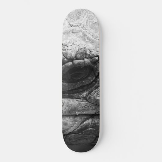 BW Tortoise Skateboard (Vorderseite)