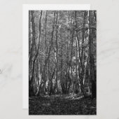 BW Trees Briefpapier (Vorne/Hinten)