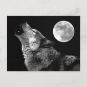BW Wolf Howling auf dem Mond Postkarte (Vorderseite)
