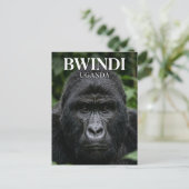 Bwindi Impenetrable Forest Uganda Postkarte (Stehend Vorderseite)