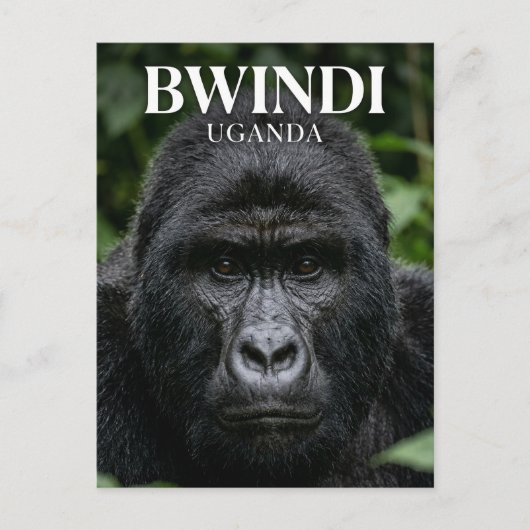Bwindi Impenetrable Forest Uganda Postkarte (Vorderseite)