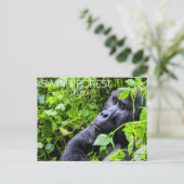 Bwindi-Wald, Uganda Reise-Postkarte Postkarte (Stehend Vorderseite)