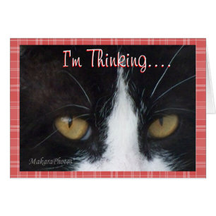 BWThinking.....anpassen