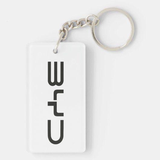 BYD Schlüsselanhänger (Rückseite)