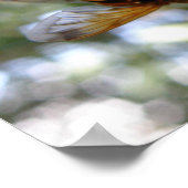 Bye Bye Hoverfly Print Poster (Ecke)