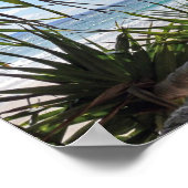 Byron Bay Picture Poster (Ecke)