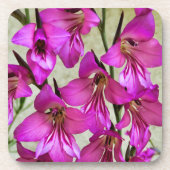 Byzantine Gladiolus Getränkeuntersetzer (Vorderseite)