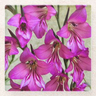 Byzantine Gladiolus Glasuntersetzer