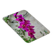 Byzantine Gladiolus Magnet (Rechte Seite)