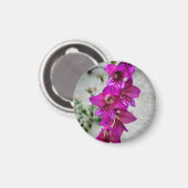 Byzantine Gladiolus Magnet (Vorderseite/Rückseite)