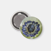 Byzantine Gladiolus Magnet (Vorderseite/Rückseite)