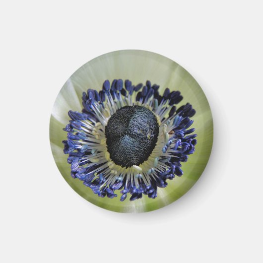 Byzantine Gladiolus Magnet (Vorne)