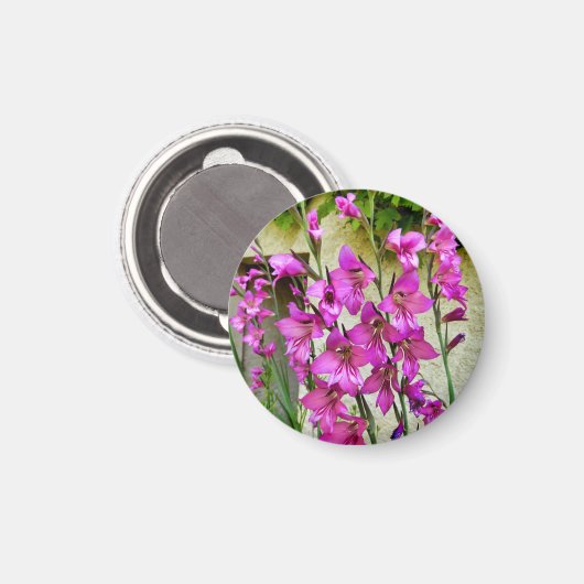 Byzantine Gladiolus Magnet (Vorderseite/Rückseite)