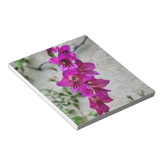 Byzantine Gladiolus Notizblock (angewinkelt)