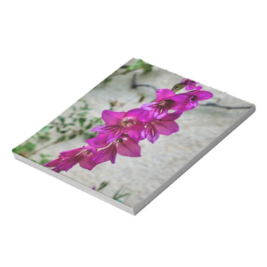 Byzantine Gladiolus Notizblock (Rotiert)