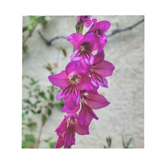 Byzantine Gladiolus Notizblock (Vorderseite)