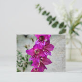 Byzantine Gladiolus Postkarte (Stehend Vorderseite)