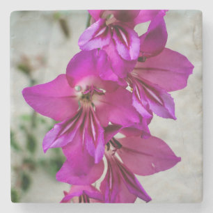 Byzantine Gladiolus Steinuntersetzer