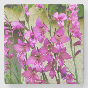 Byzantine Gladiolus Steinuntersetzer