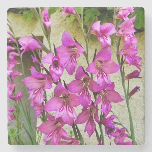 Byzantine Gladiolus Steinuntersetzer (Vorderseite)