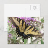 BZ-Frack Schmetterling Postkarte (Vorne/Hinten)