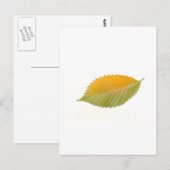 BZH22-1010-5 POSTKARTE (Vorne/Hinten)