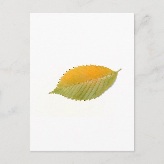 BZH22-1010-5 POSTKARTE (Vorderseite)