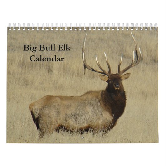 C10 Big Bull Elk Calendar Kalender (Titelbild)