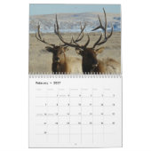 C10 Big Bull Elk Calendar Kalender (Feb 2027)