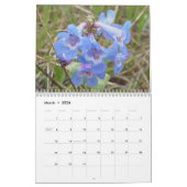 C12 Wildblumen der Prärien Alberta Kalender (Mär 2026)