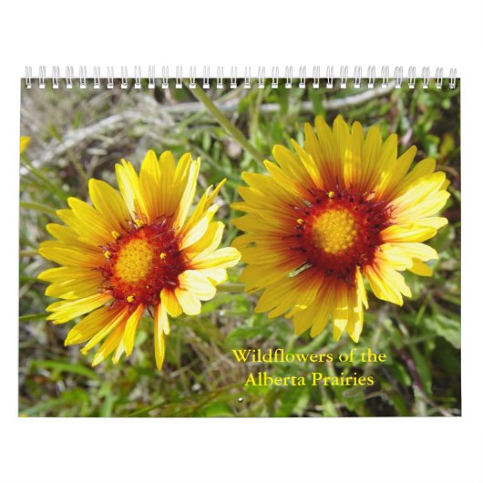 C12 Wildblumen der Prärien Alberta Kalender (Titelbild)