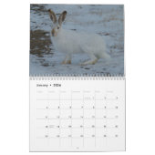 C13 Wildlife Calendar Kalender (Jan 2026)