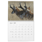 C13 Wildlife Calendar Kalender (Mär 2027)